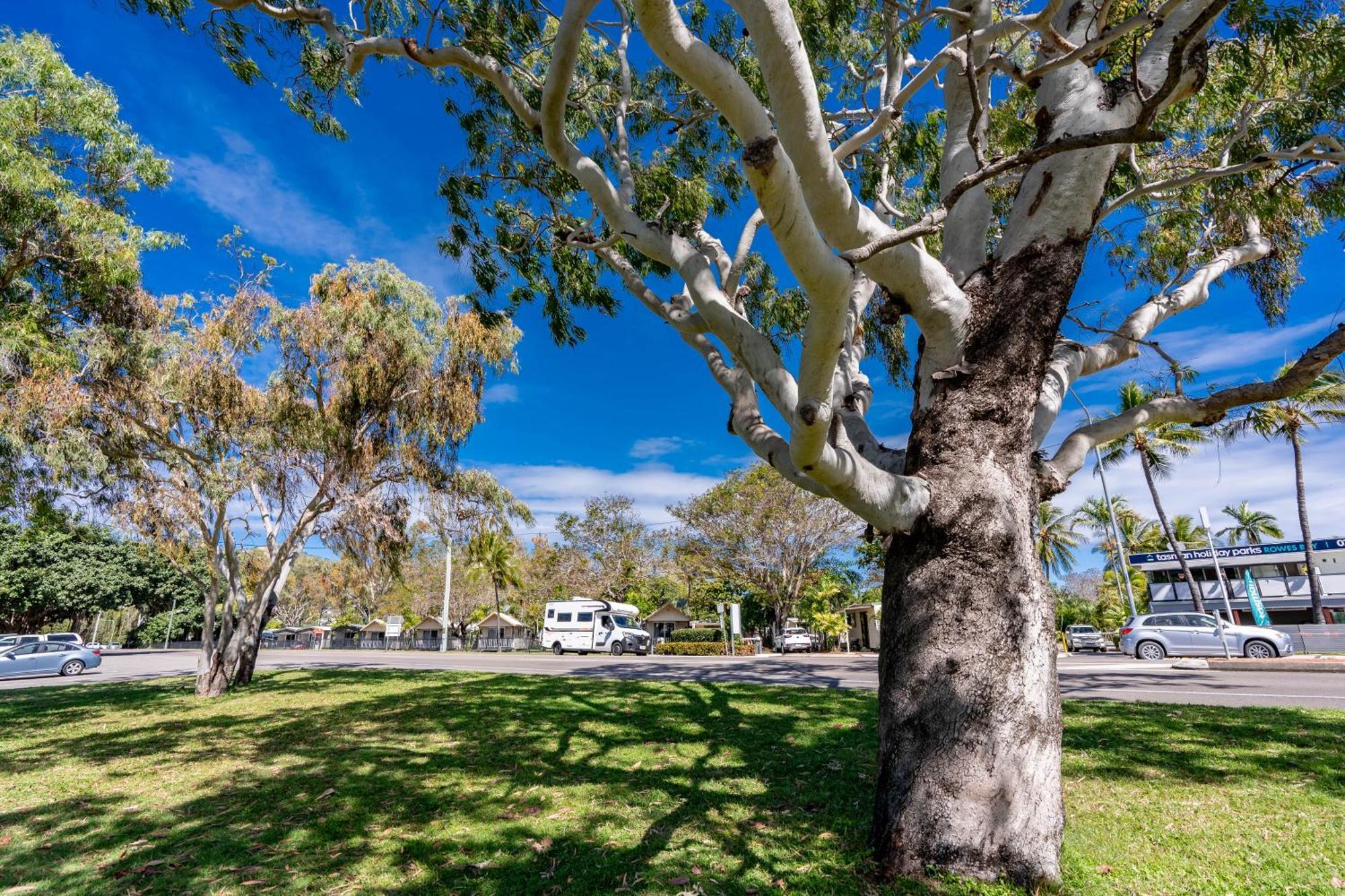 Big4 Tasman Holiday Parks - Rowes Bay Townsville Exterior foto